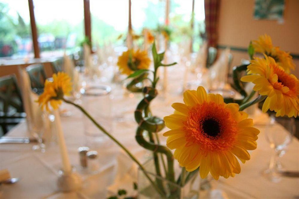 Landhotel Dresde Extérieur photo